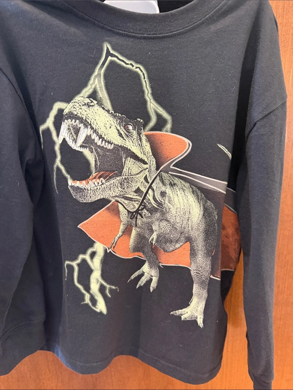 Carter's Black Sweatshirt with Orange & Cream Dinosaur Graphic